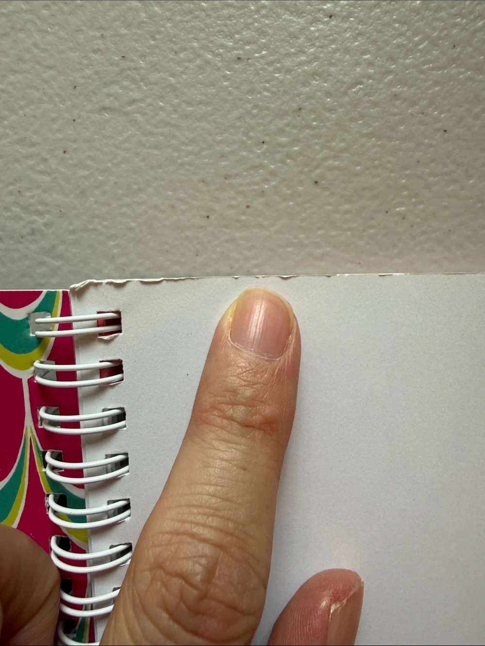 Lilly Pulitzer Spiral Notebook - Teal, Pink & Lime Accent